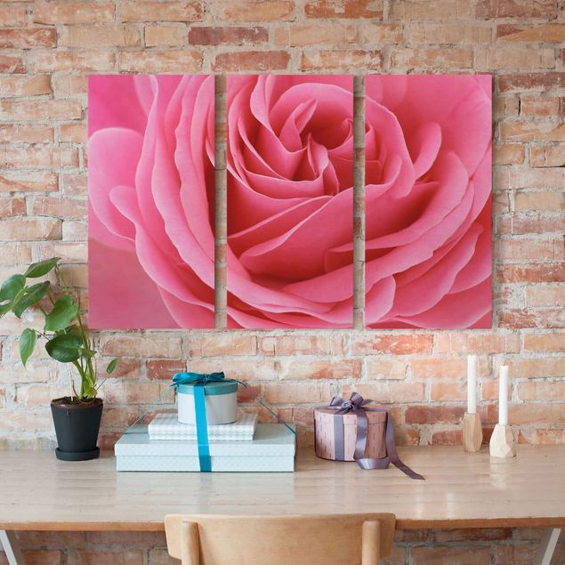 Leinwandbilder Rosen Lustful Pink Rose