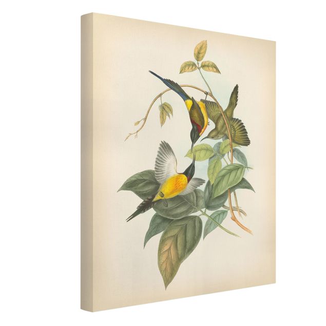 Leinwandbilder Blumen Vintage Illustration Tropische Vögel IV