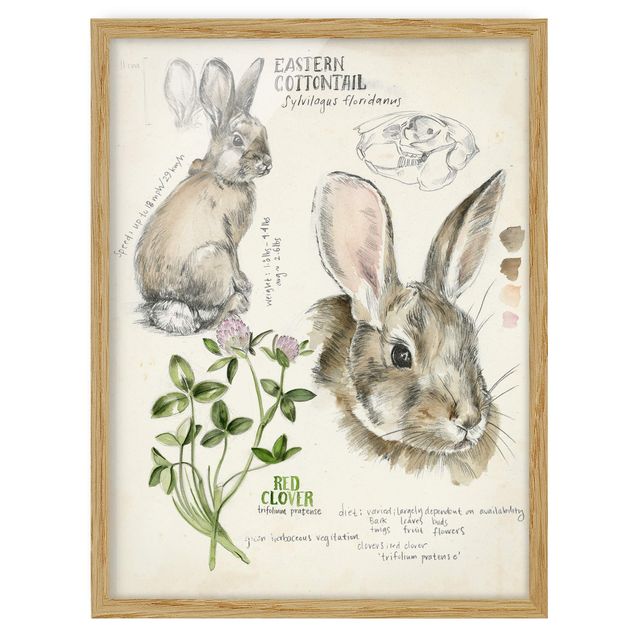 Kunstdruck Bilder mit Rahmen Wildnis Journal - Kaninchen