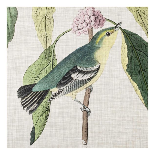 Wandbilder Vogel auf Leinen Rosa I