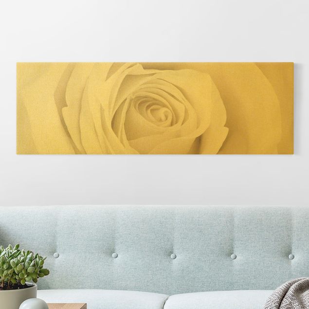 Leinwandbild Gold - Pretty White Rose - Panorama 3:1