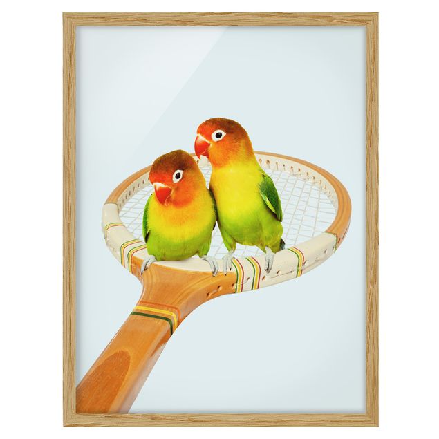 Bilder mit Rahmen Tennis mit Vögeln