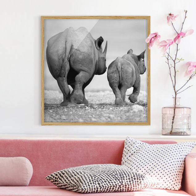 Wandbilder Tiere Wandering Rhinos II