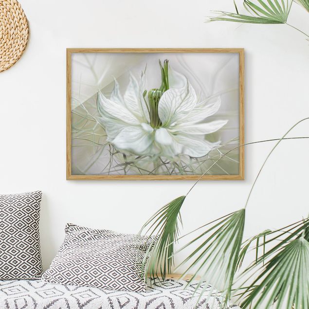 Bilder mit Rahmen Blumen Weiße Nigella