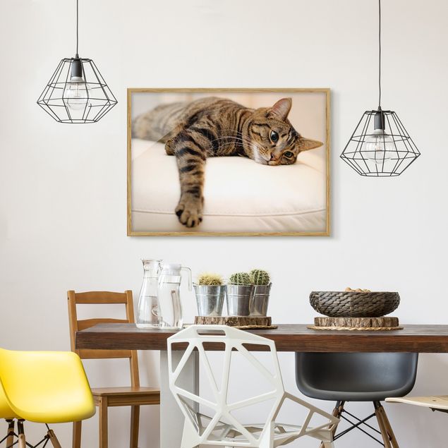 Bilder mit Rahmen abstrakt Cat Chill Out