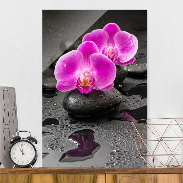 Orchideen Glasbild Pinke Orchideenblüten auf Steinen mit Tropfen