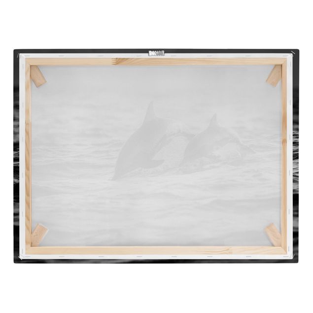 Bilder für die Wand Zwei springende Delfine