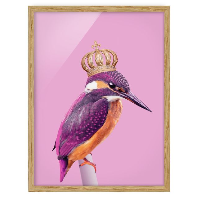 Bilder mit Rahmen Rosa Eisvogel mit Krone