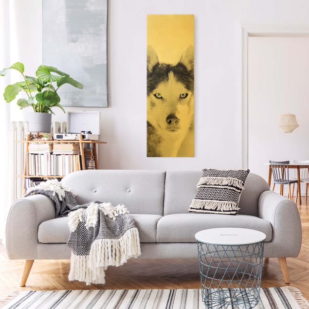 Leinwandbilder Wohnzimmer modern Husky Portrait