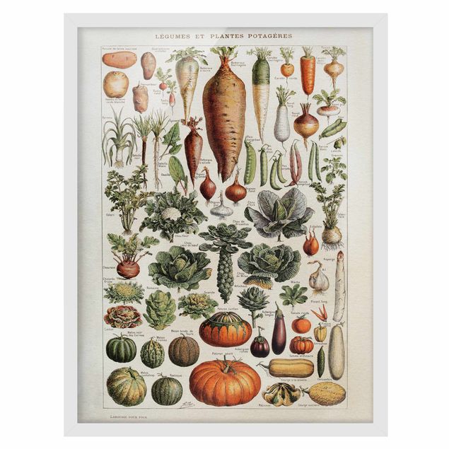 Wandbilder mit Rahmen Vintage Lehrtafel Gemüse
