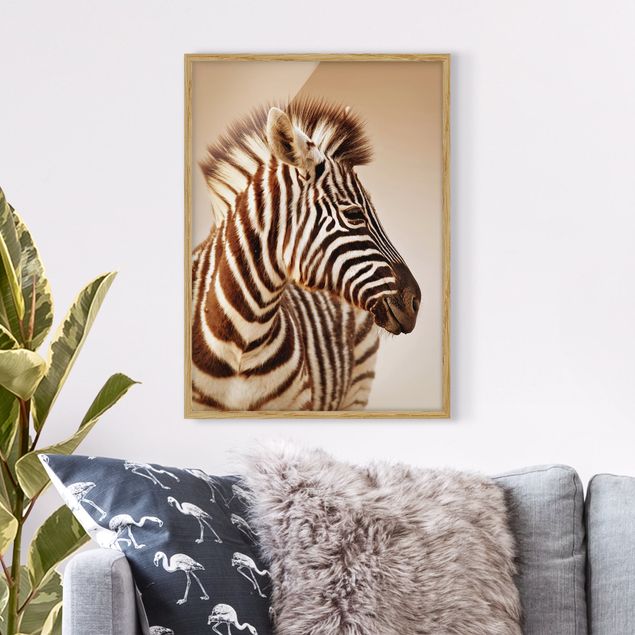 Wandbilder Tiere Zebra Baby Portrait
