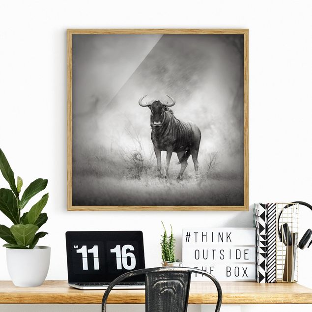Schwarz-Weiß Bilder mit Rahmen Staring Wildebeest