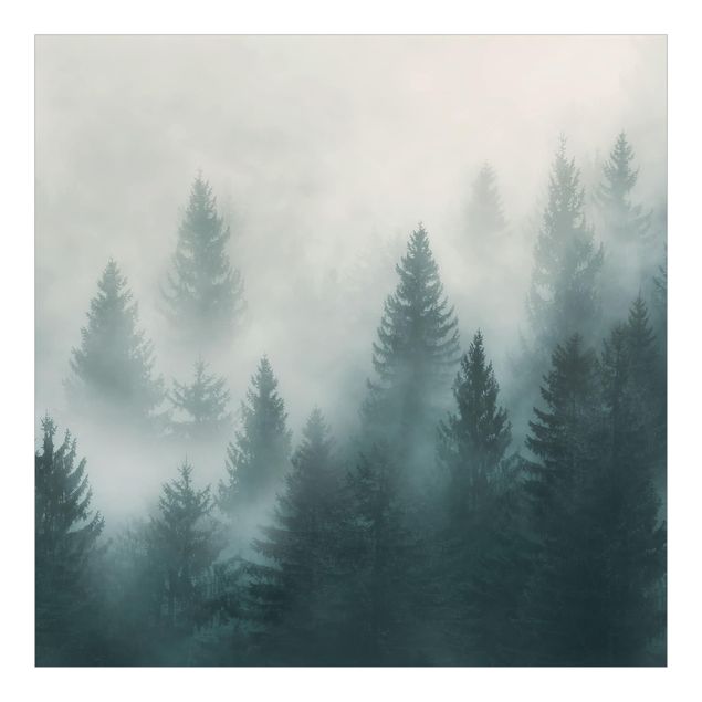 Fototapeten Nadelwald im Nebel