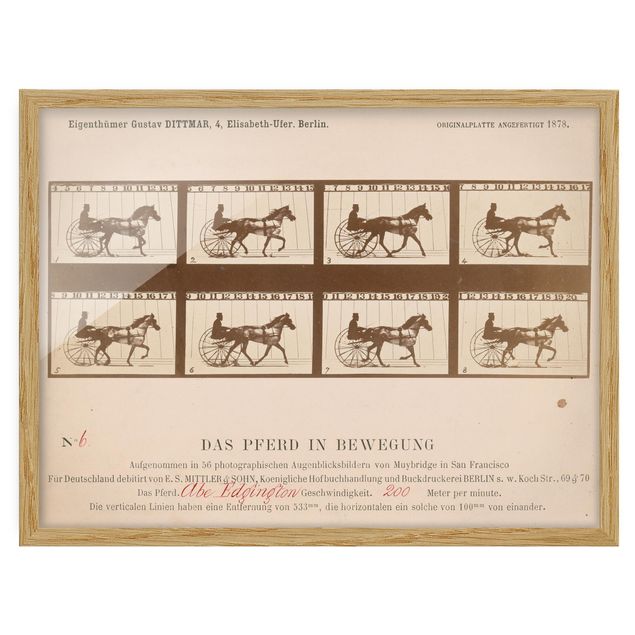 Eadweard Muybridge Eadweard Muybridge - Das Pferd in Bewegung