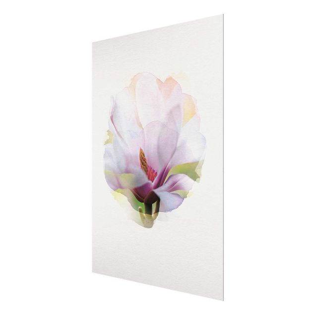Bilder auf Glas Wasserfarben - Zarte Magnolienblüte