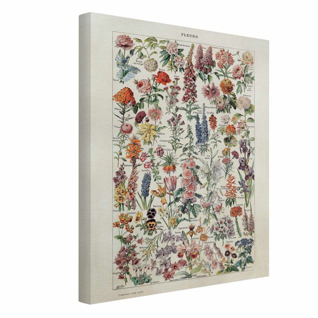 Schöne Wandbilder Vintage Lehrtafel Blumen V