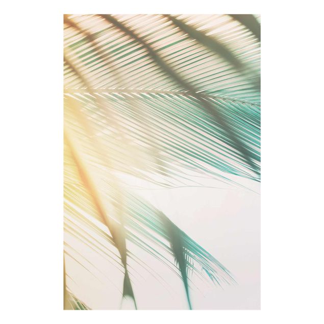 Glasbilder Tropische Pflanzen Palmen bei Sonnenuntergang II