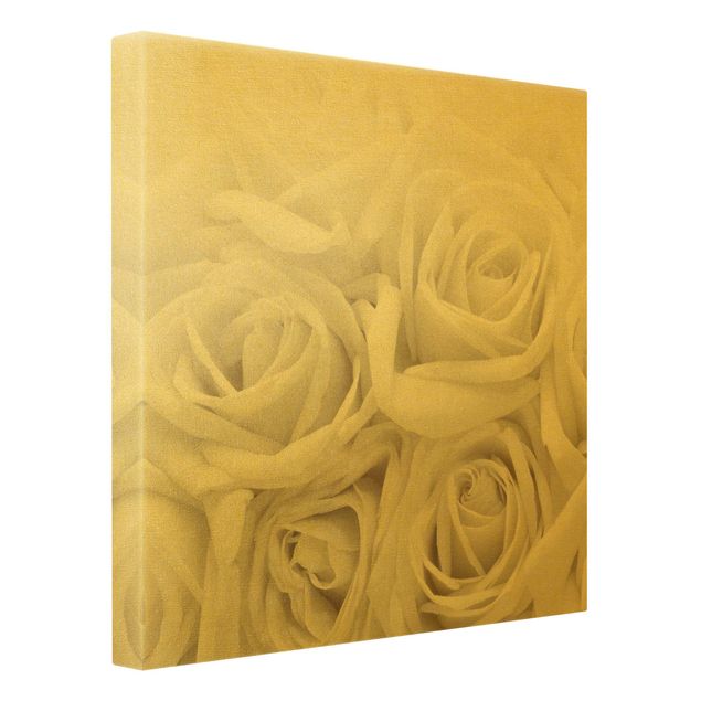 Leinwandbild Gold - Weiße Rosen - Quadrat 1:1