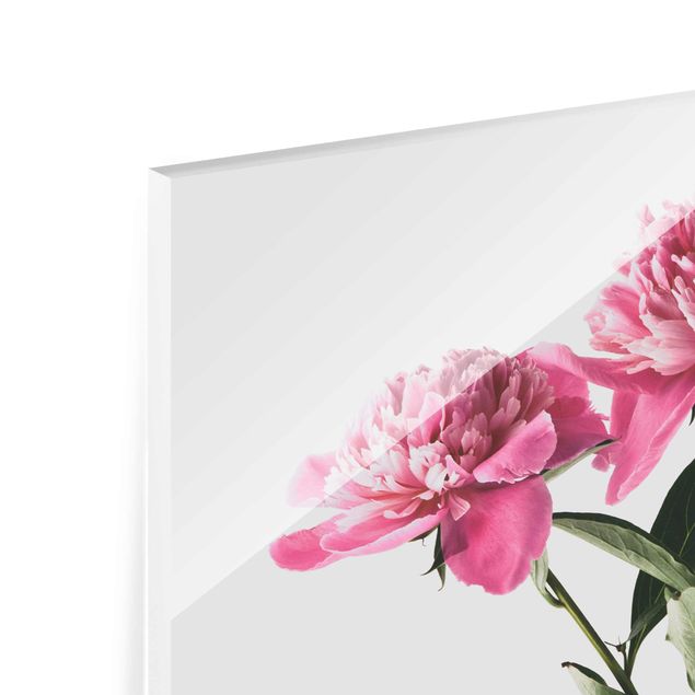 Glasbilder Blüten und Knospen Pink auf Weiß