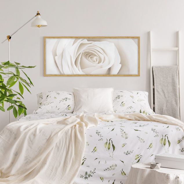 Bilder mit Rahmen Pretty White Rose