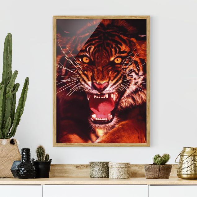 Wandbilder Tiere Wilder Tiger