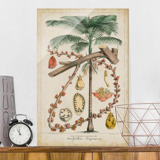 XXL Glasbilder Vintage Lehrtafel Exotische palmen II