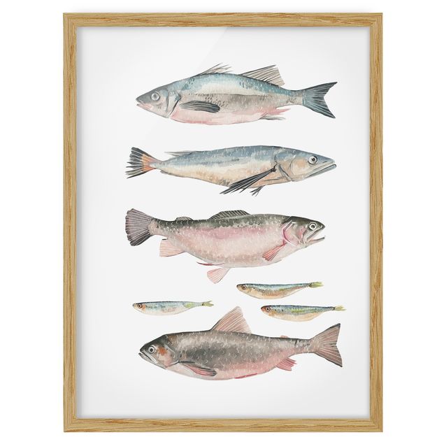Gerahmte Bilder Sieben Fische in Aquarell I