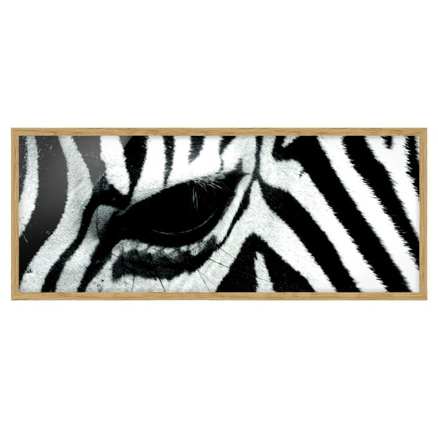 Bilder mit Rahmen Zebra Crossing
