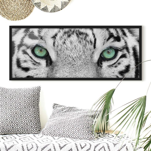 Wandbilder Tiere Weißer Tiger