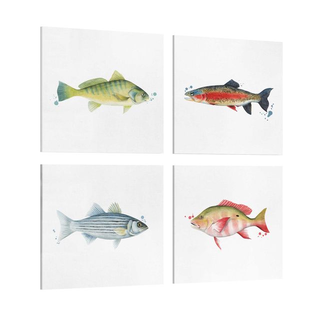 Wandbilder Farbfang - Fische Set I