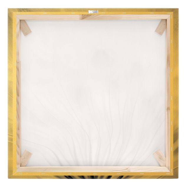 Leinwandbild Gold - Traumhafte Pusteblume Schwarz-Weiß - Quadrat 1:1