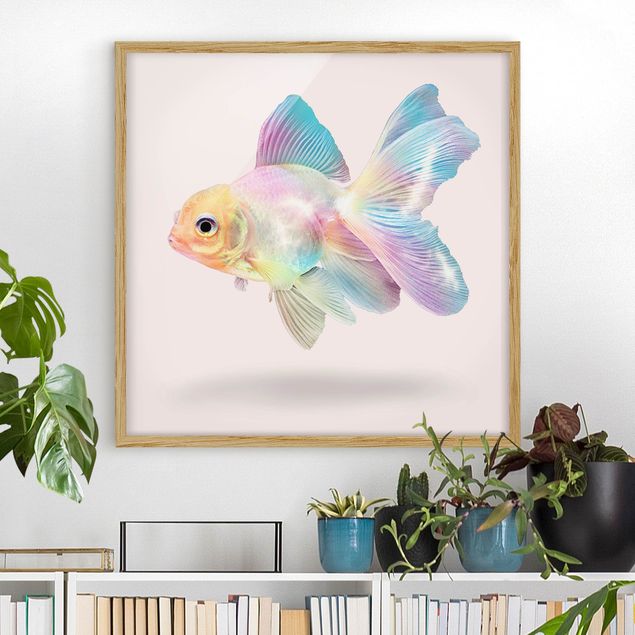 Wandbilder Tiere Fisch in Pastell