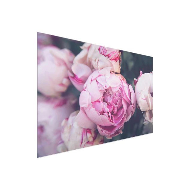 Glasbild Blumen Pfingstrosenblüte Shabby