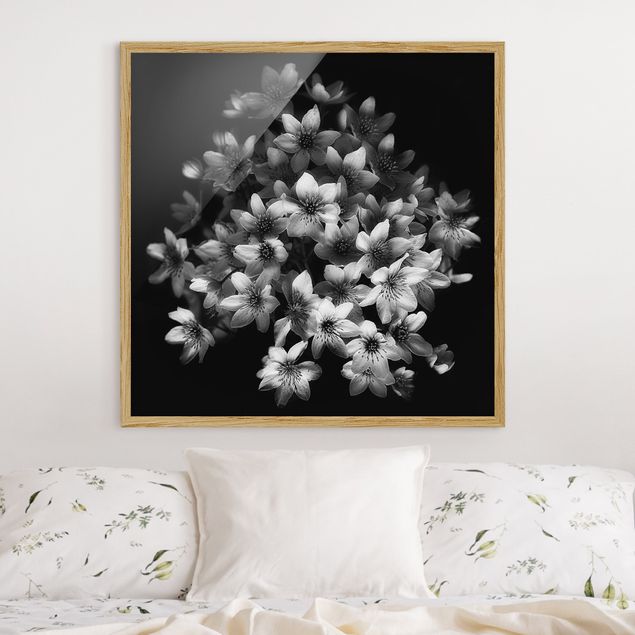 Blumen Bilder mit Rahmen Dunkler Clematis Strauß