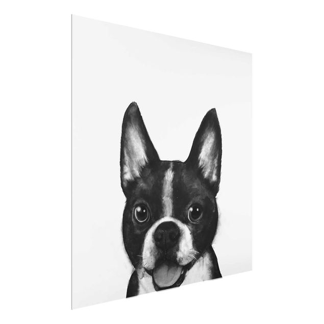 Schwarz-Weiß Glasbilder Illustration Hund Boston Schwarz Weiß Malerei