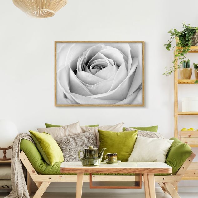 Schöne Wandbilder Close Up Rose