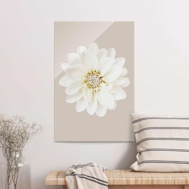 Glasbild Blumen Dahlie Weiß Taupe Pastell Zentriert