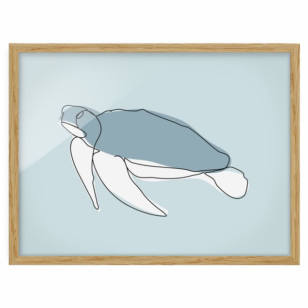Gerahmte Bilder Schildkröte Line Art