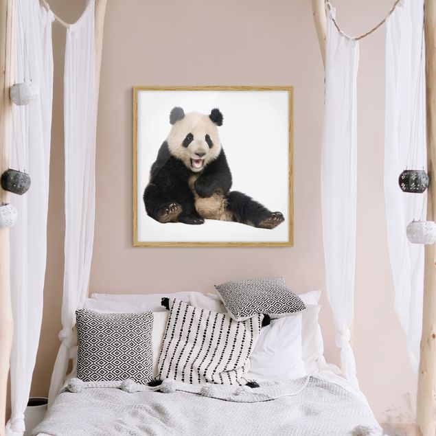 Bilder mit Rahmen Lachender Panda