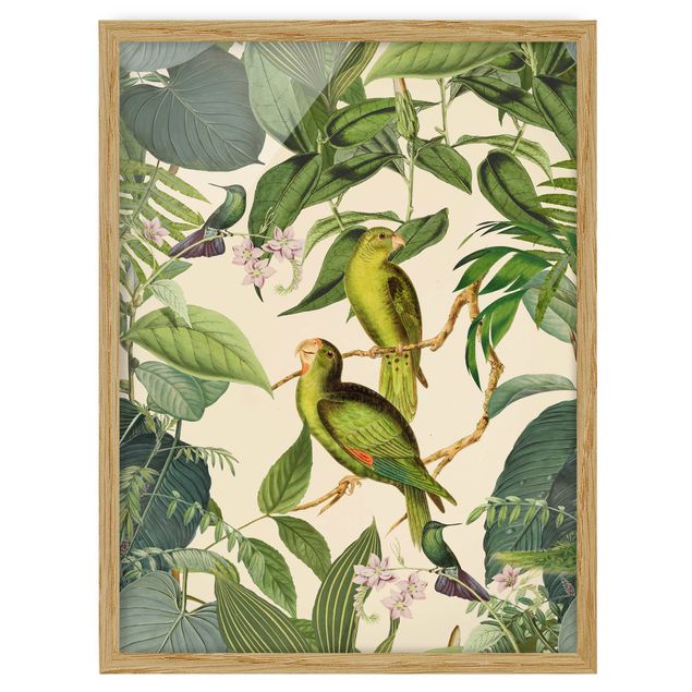 Bilder für die Wand Vintage Collage - Papageien im Dschungel