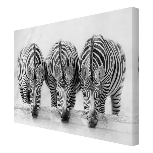 Leinwandbilder Wohnzimmer modern Zebra Trio schwarz-weiß