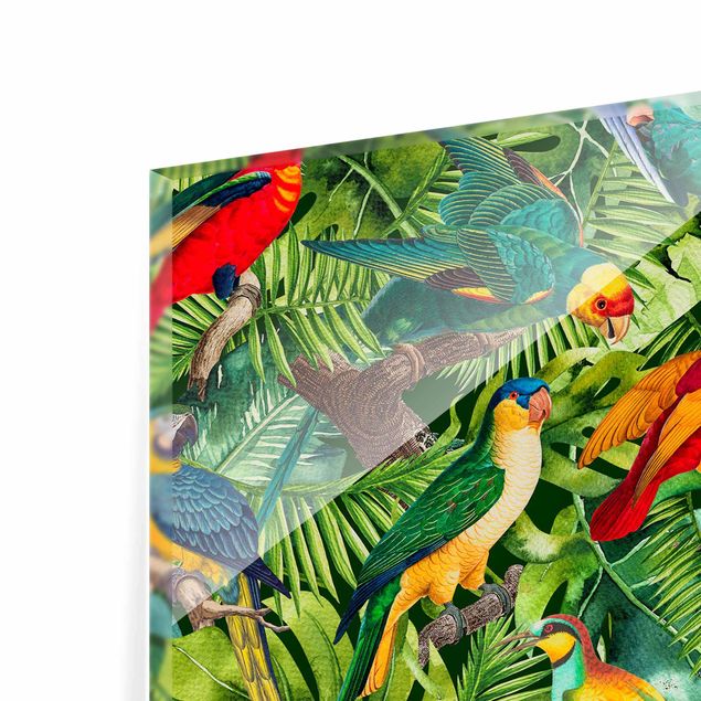 Glasbild - Bunte Collage - Papageien im Dschungel - Querformat 2:3