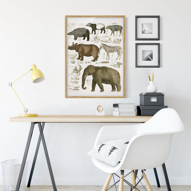 Natur Bilder mit Rahmen Vintage Lehrtafel Elefant, Zebra und Nashorn