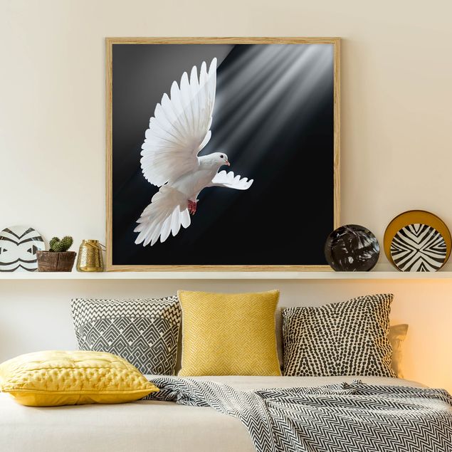 Gerahmte Bilder Schwarz-Weiß Holy Dove