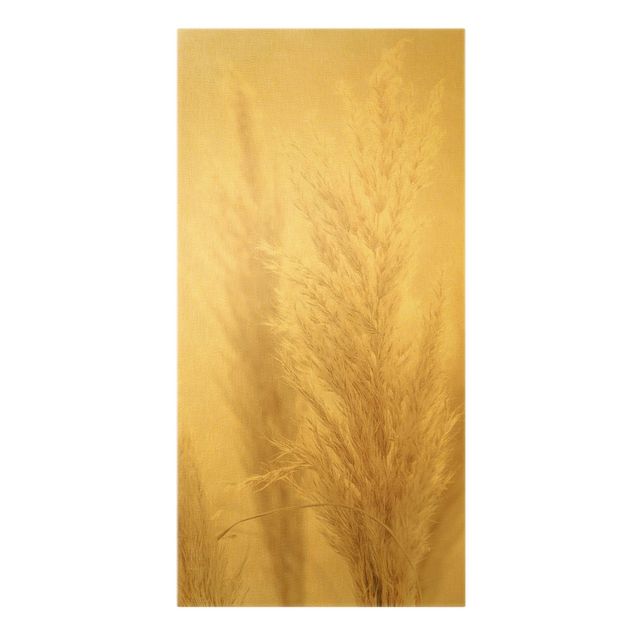Leinwandbild Gold - Pampasgras im Sonnenlicht - Hochformat 1:2