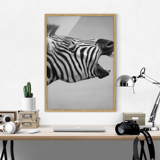 Schwarz-Weiß Bilder mit Rahmen Brüllendes Zebra II