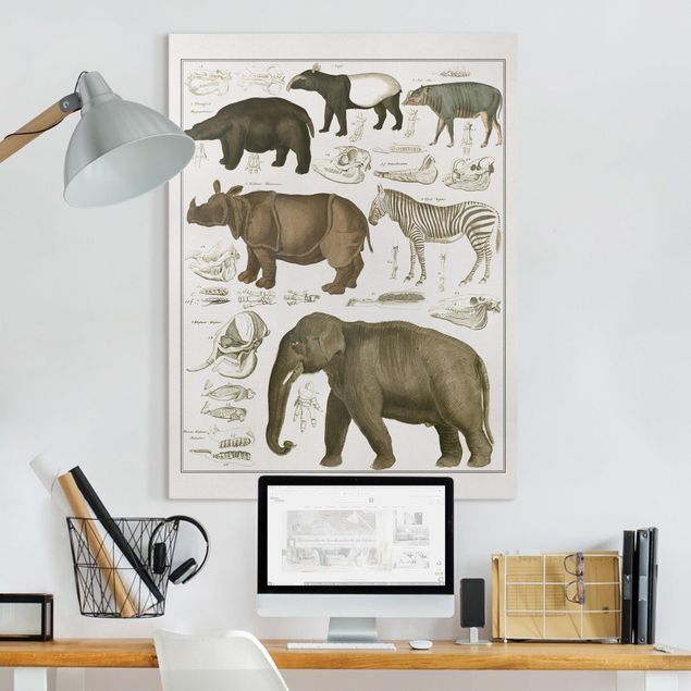 Wandbilder XXL Vintage Lehrtafel Elefant, Zebra und Nashorn