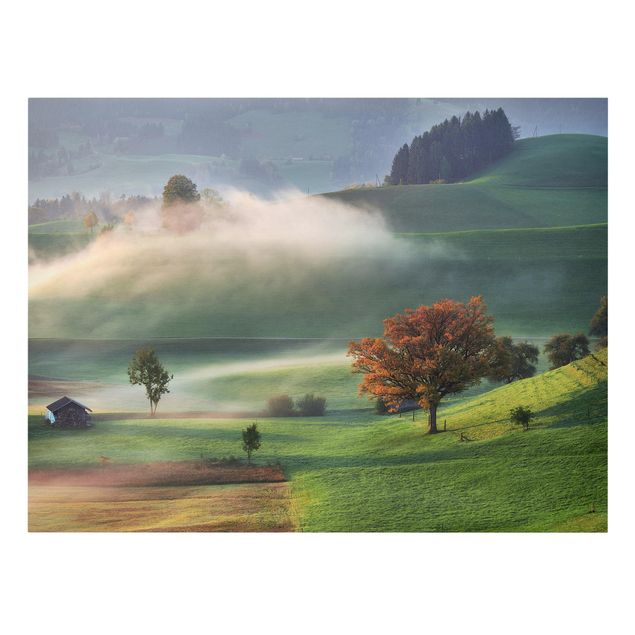 Bilder für die Wand Nebliger Herbsttag Schweiz