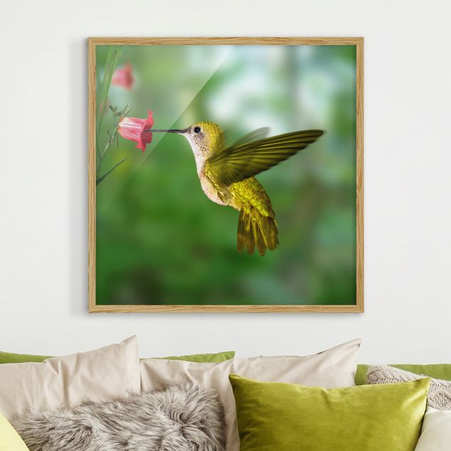 Wandbilder Tiere Kolibri und Blüte