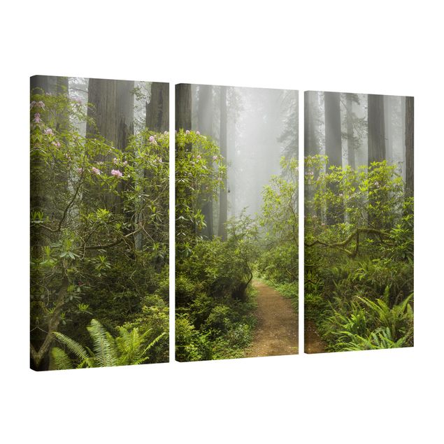 Leinwandbilder Wohnzimmer modern Nebliger Waldpfad